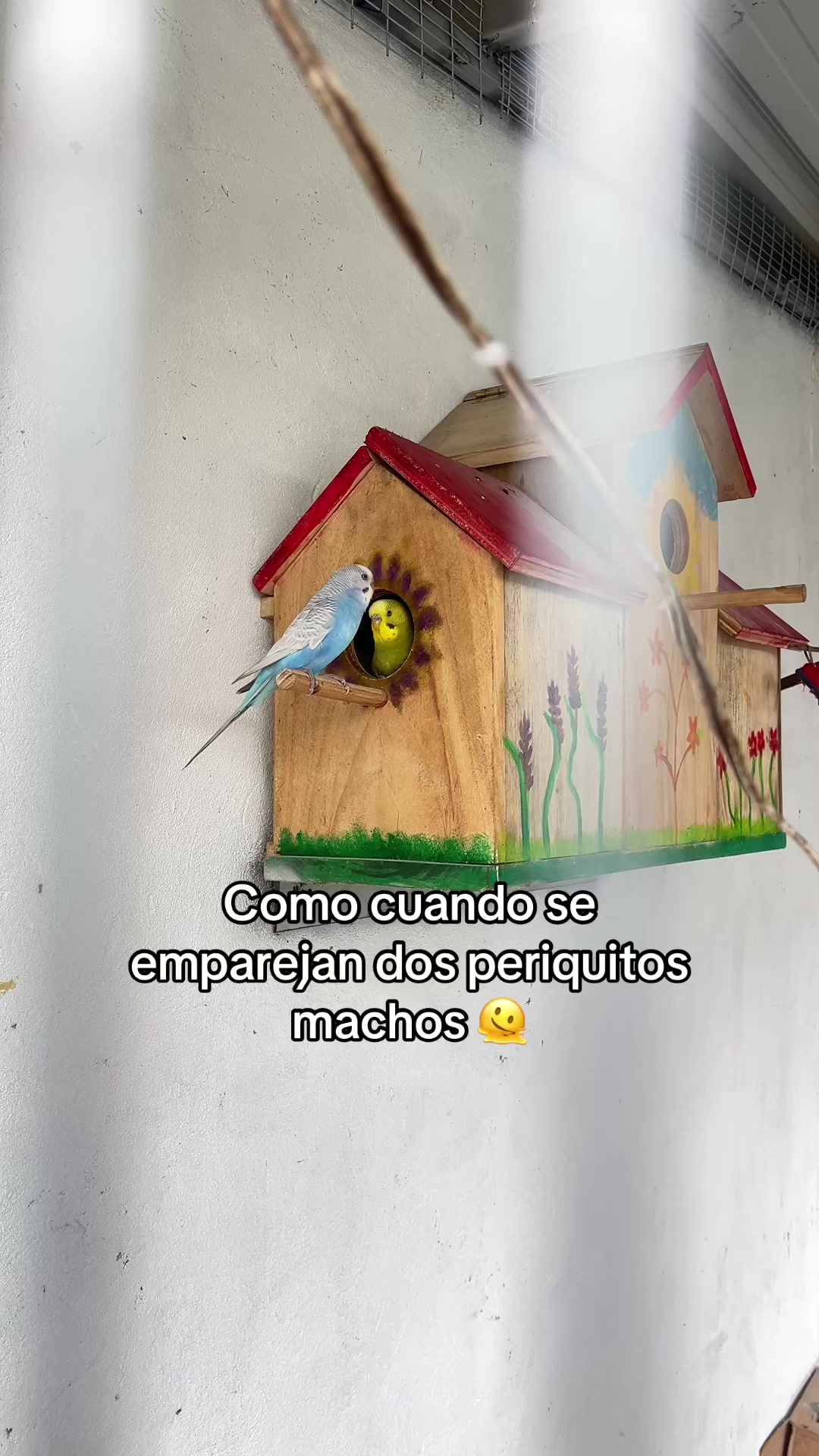 @Paúl