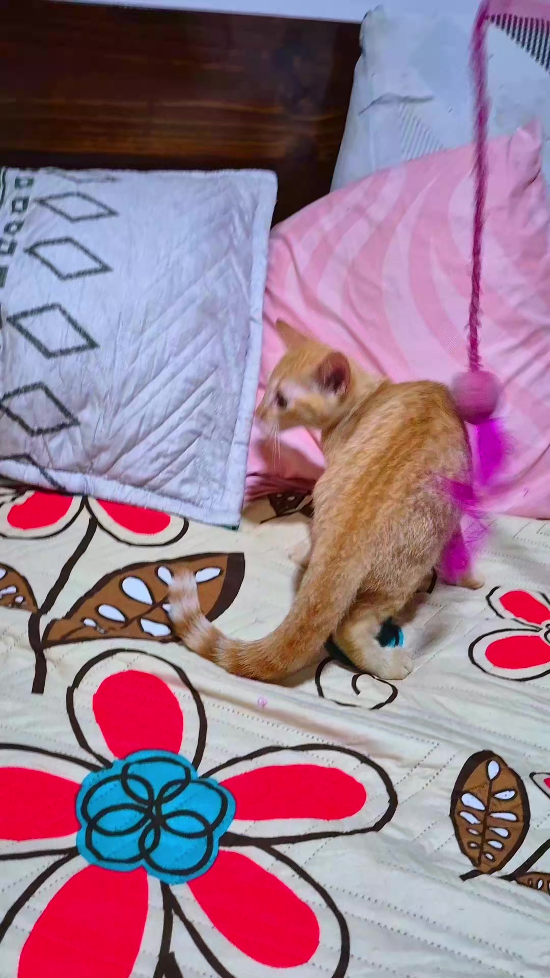 @edkas😍🥰