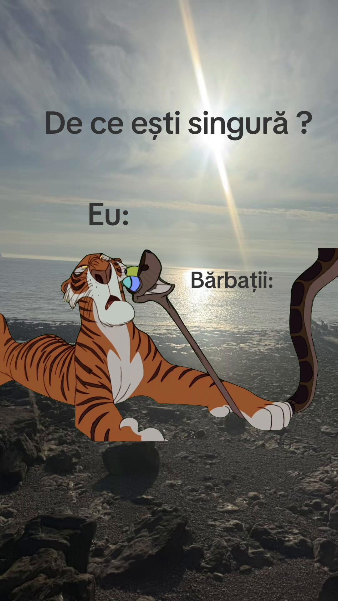@Ralu Raluca