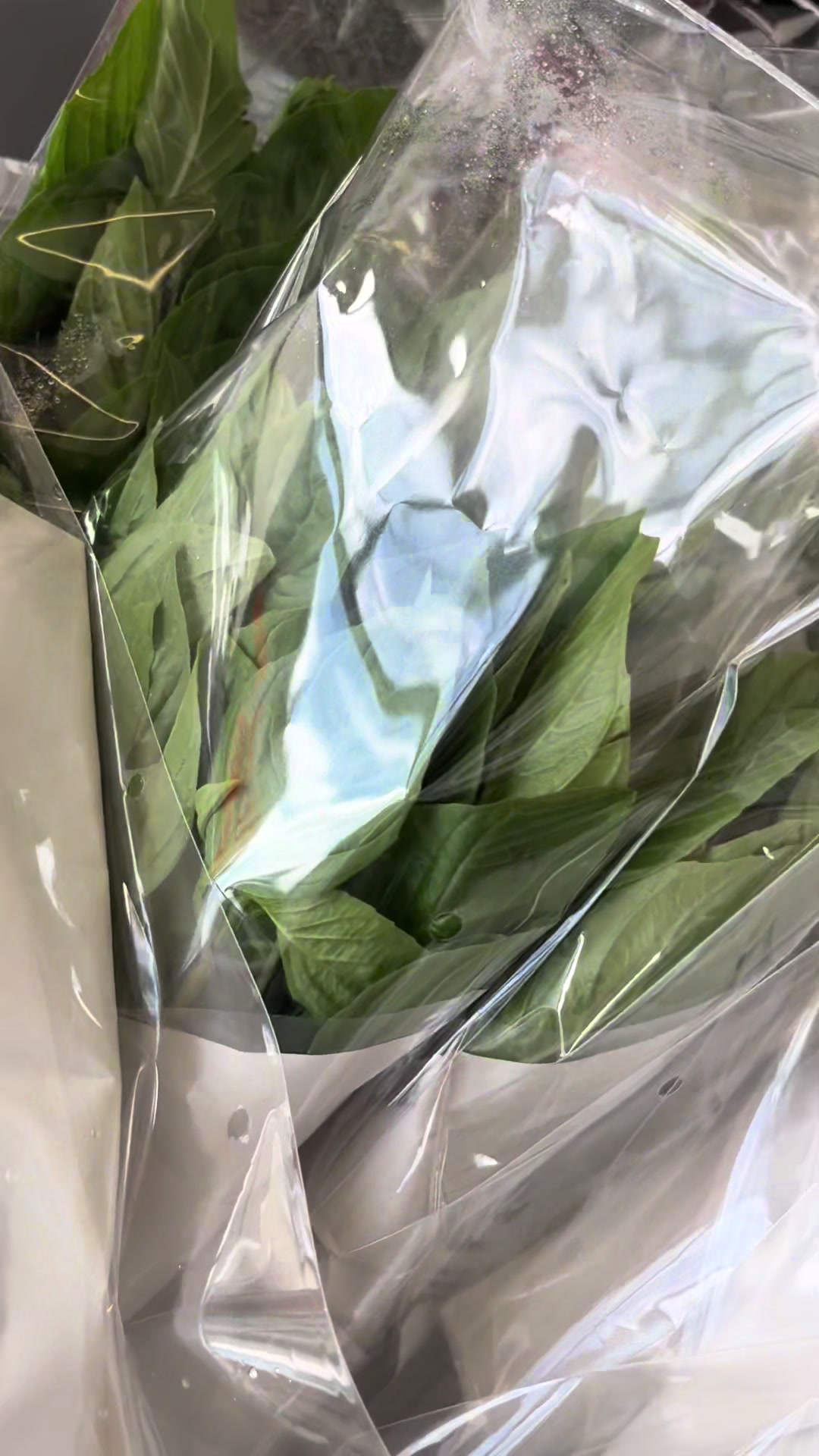 @thaifooddirect