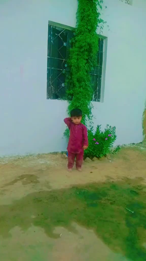 @GULMEER Dhuli 5211