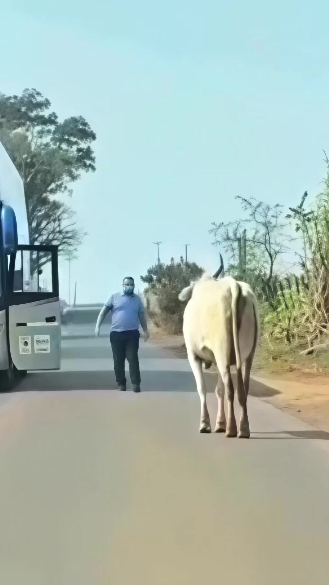@Descubrimientoanimal