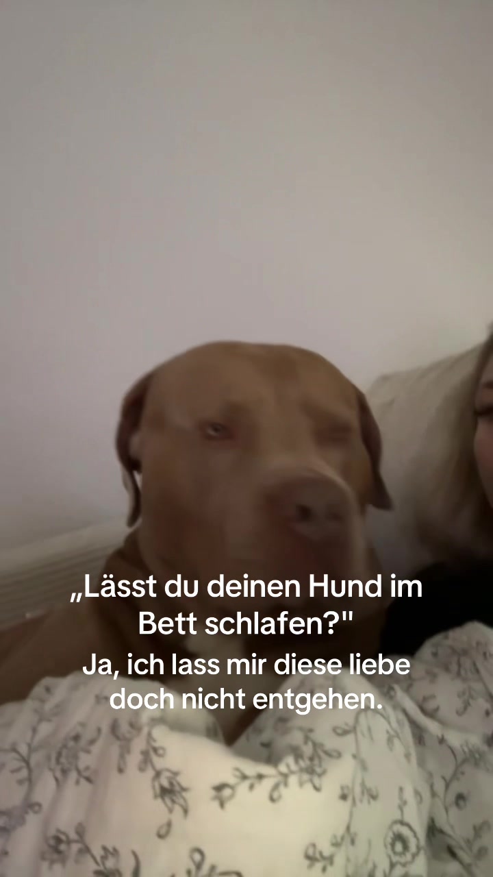 @Jessica &bull; mom of Ruffy🦴🤍