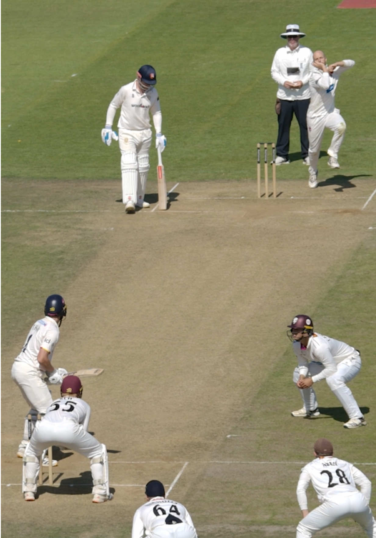 @Somerset Cricket