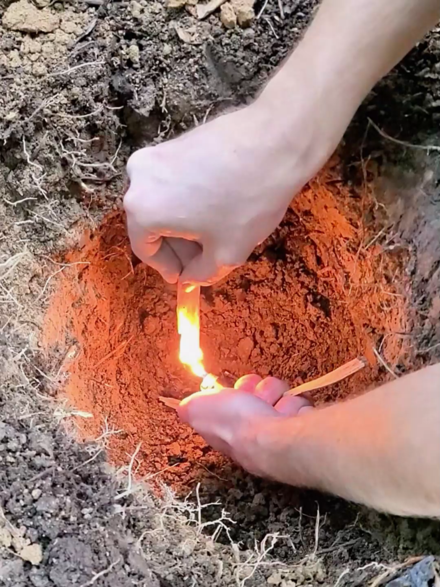 @Survive in The Forest