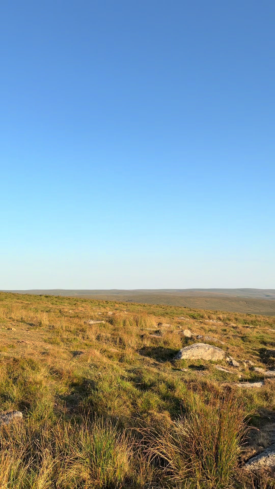 @Dartmoor Carriages