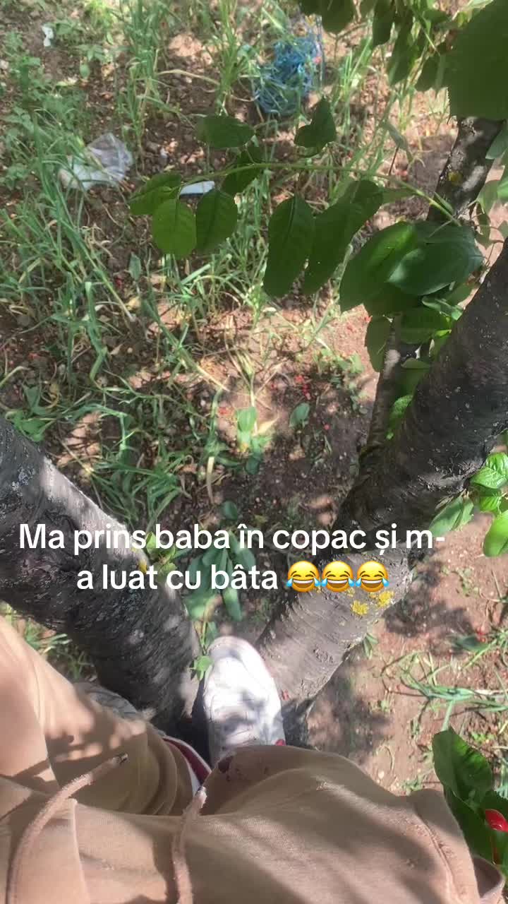 @mihaipaun32