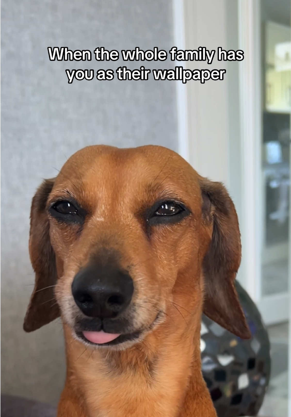 @Rebecca, Pip & Rolo