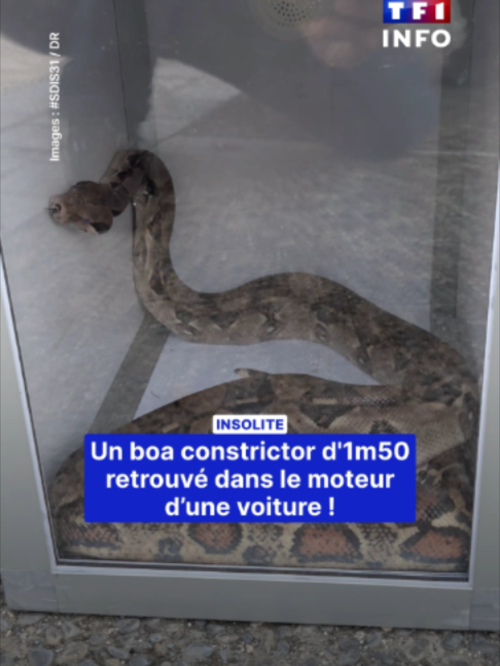 @TF1 INFO