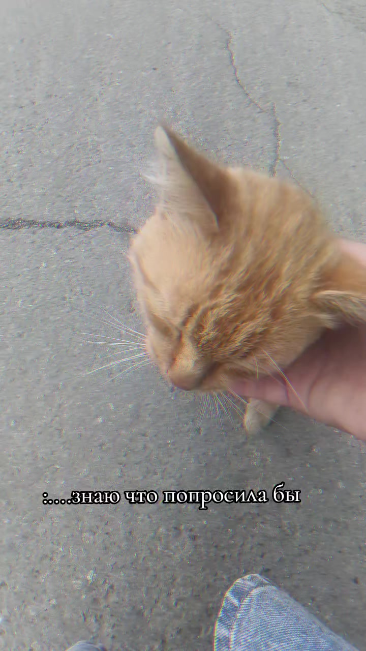 @𝚖𝚚𝚜𝚠𝚔𝚔𝚜