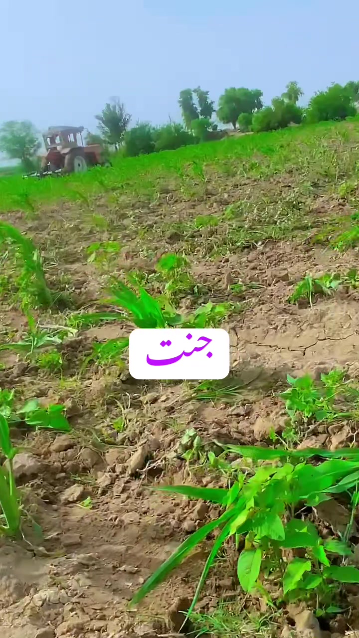 @𝒜𝓀𝓇𝒶𝓂 𝒞𝒽𝒶𝒹𝒹𝒽𝒶𝓇