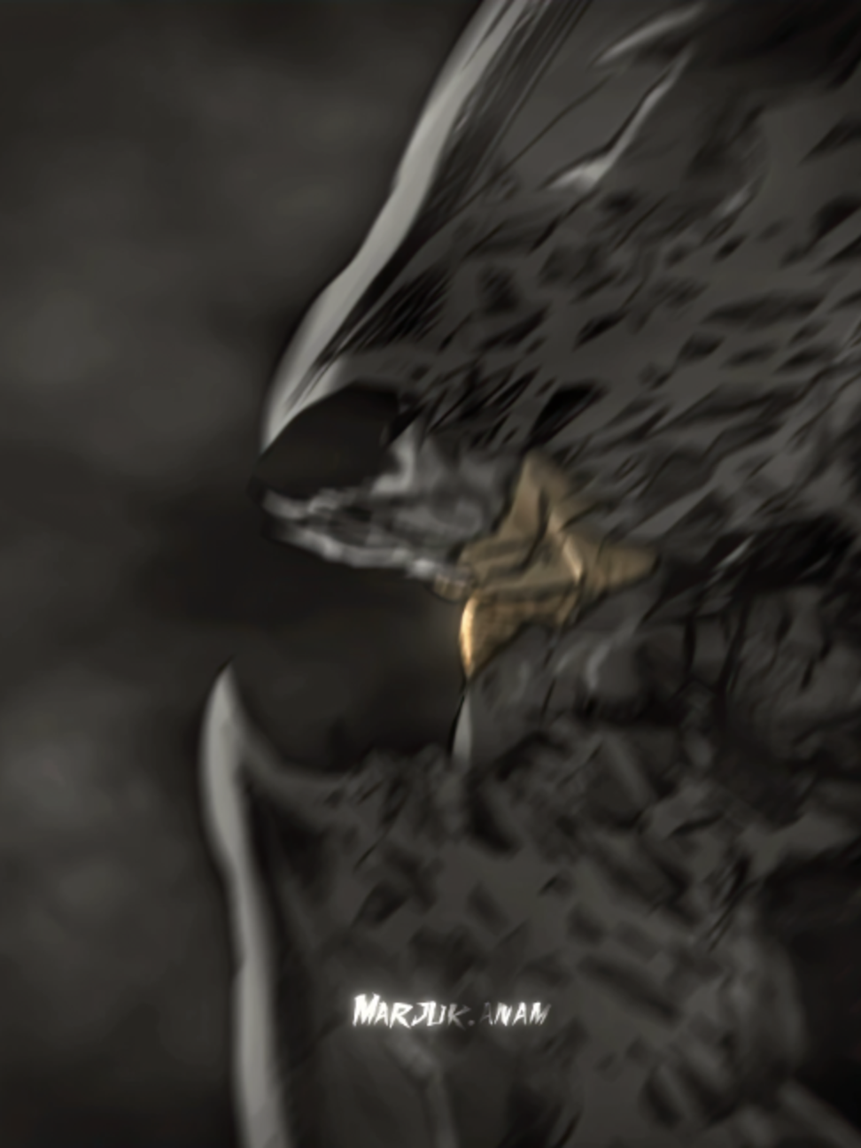 @𝑴𝒂𝒓𝒋𝒖𝒌 𝑨𝒏𝒂𝒎 ボ