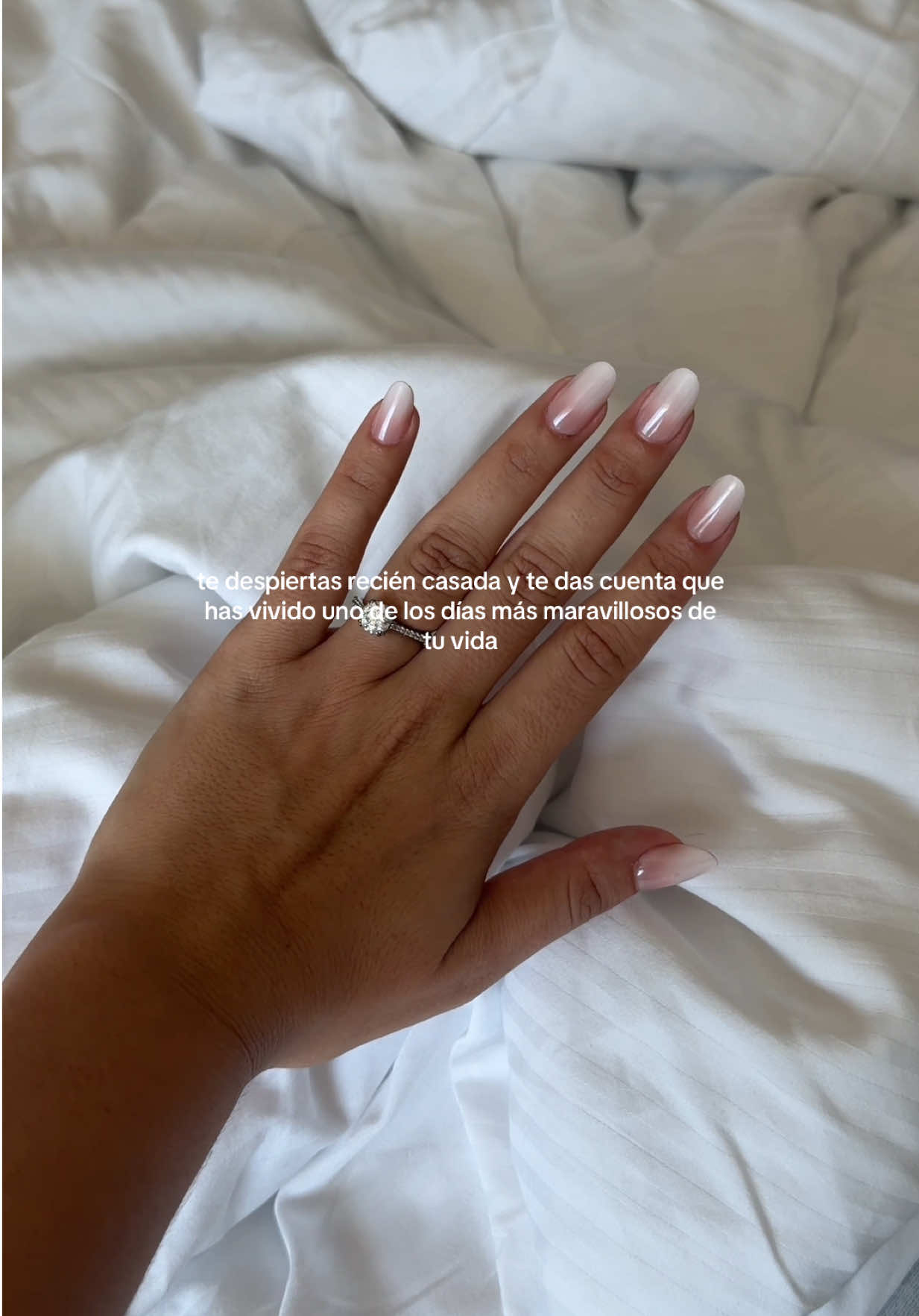 @andreiflu 🌸