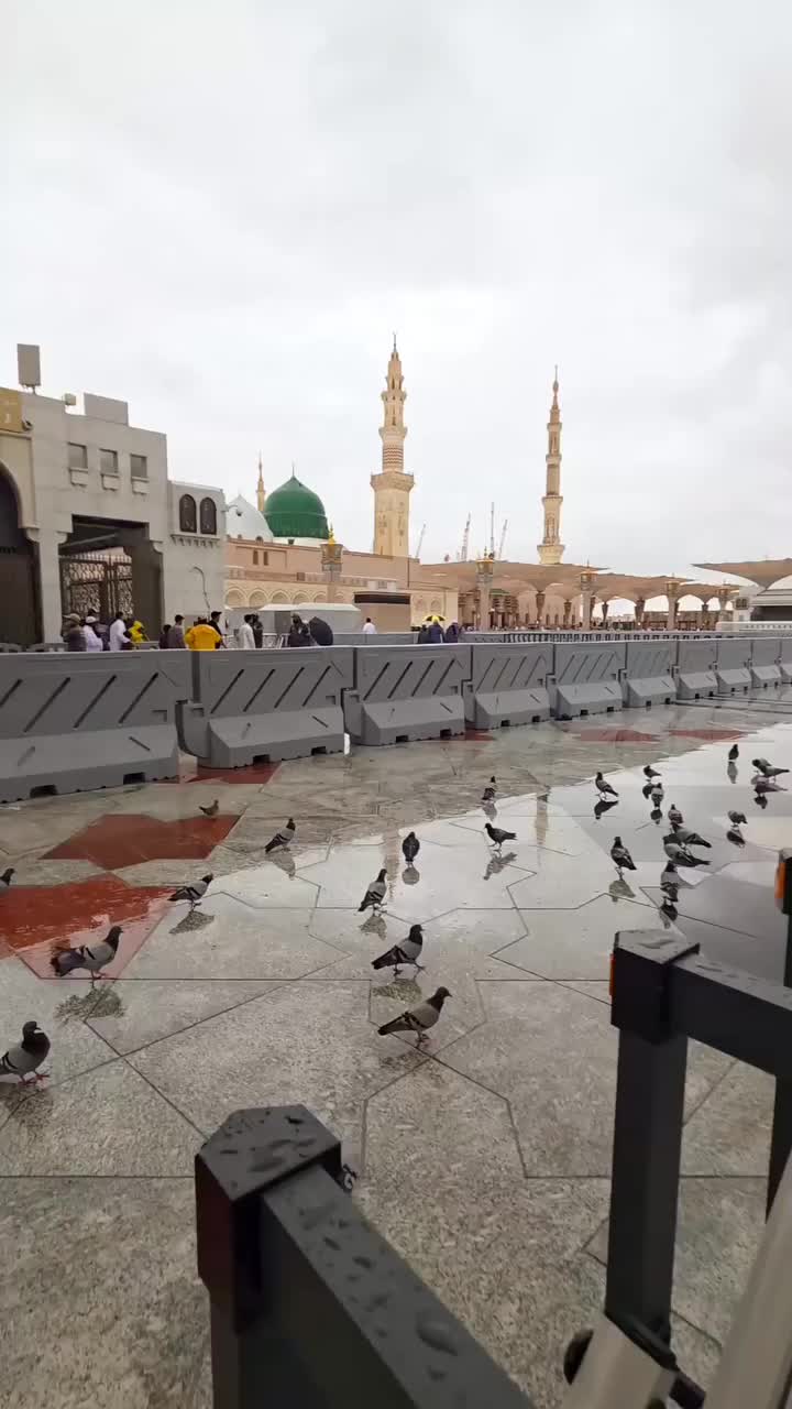 @Mohammad Ramzan