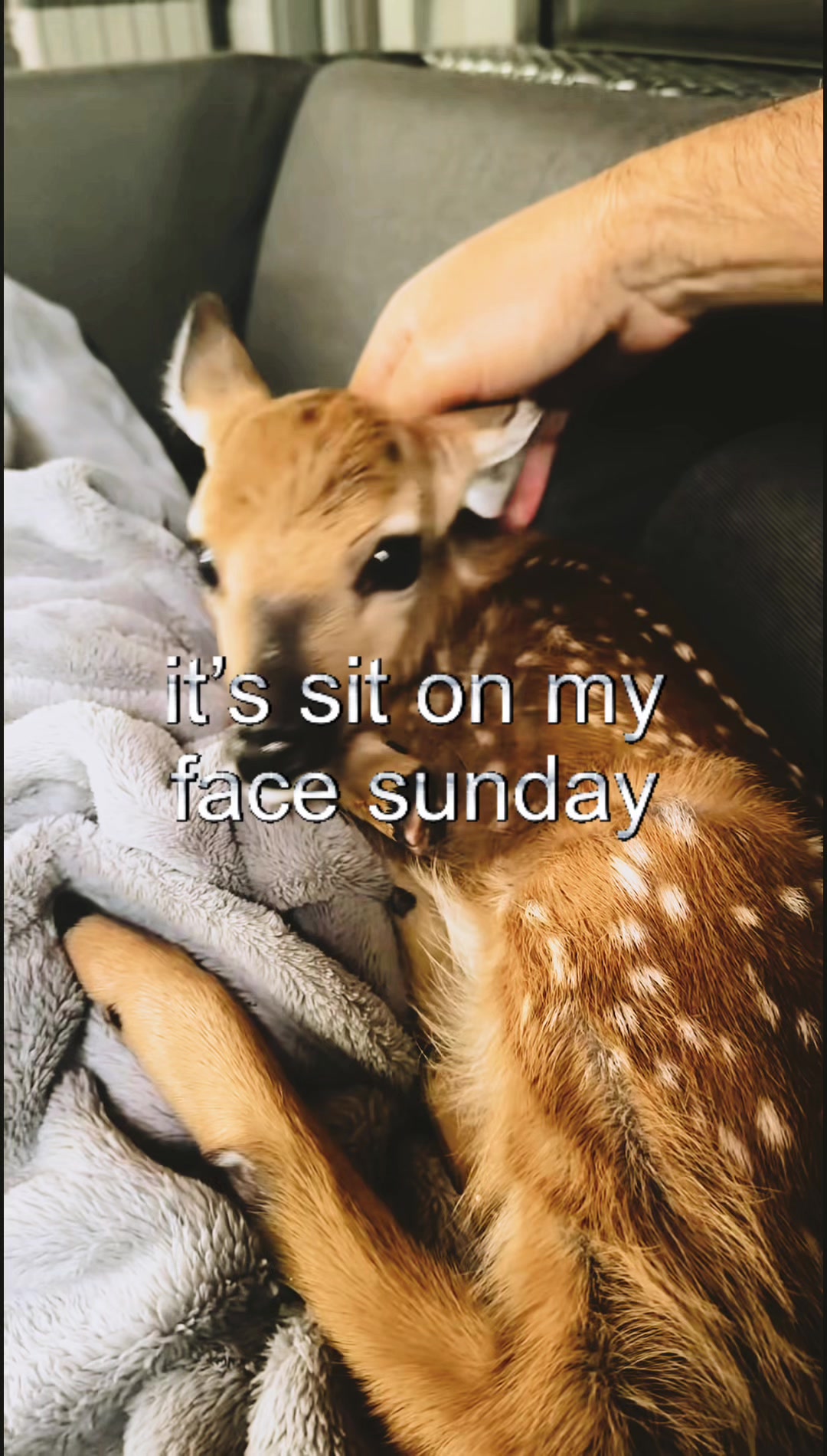 @livinlikedis