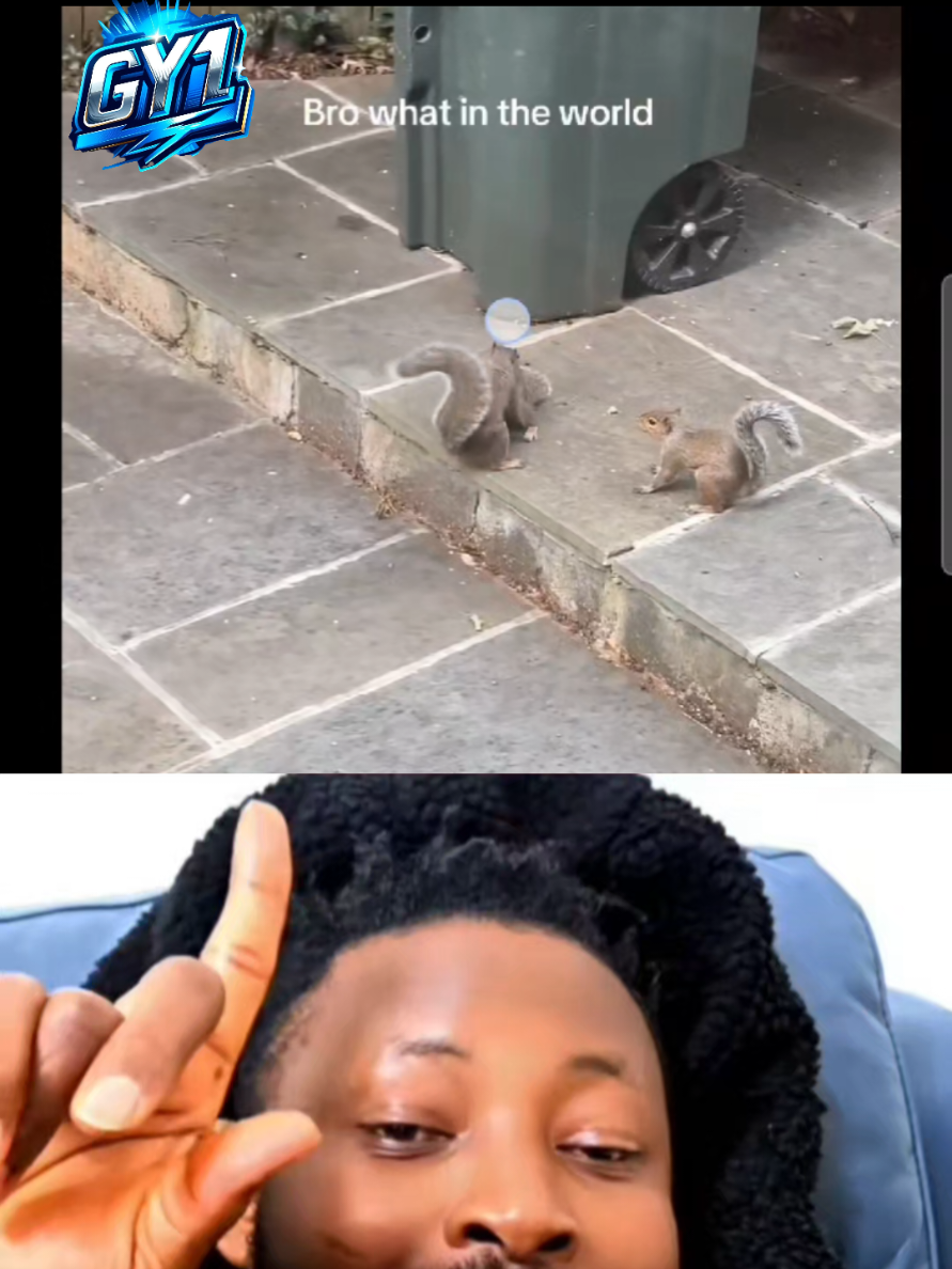 @GY1 👀