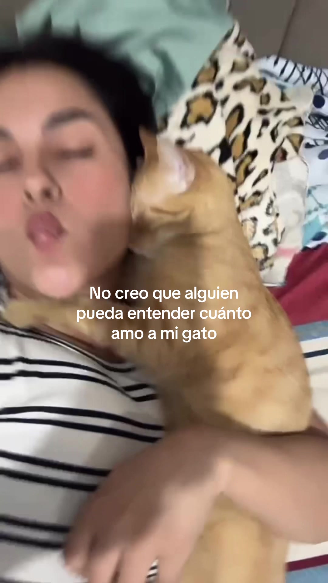 @Celia Fernández 🐈 🧡
