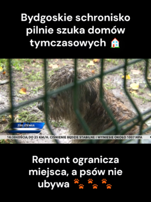 @TVP3 BYDGOSZCZ