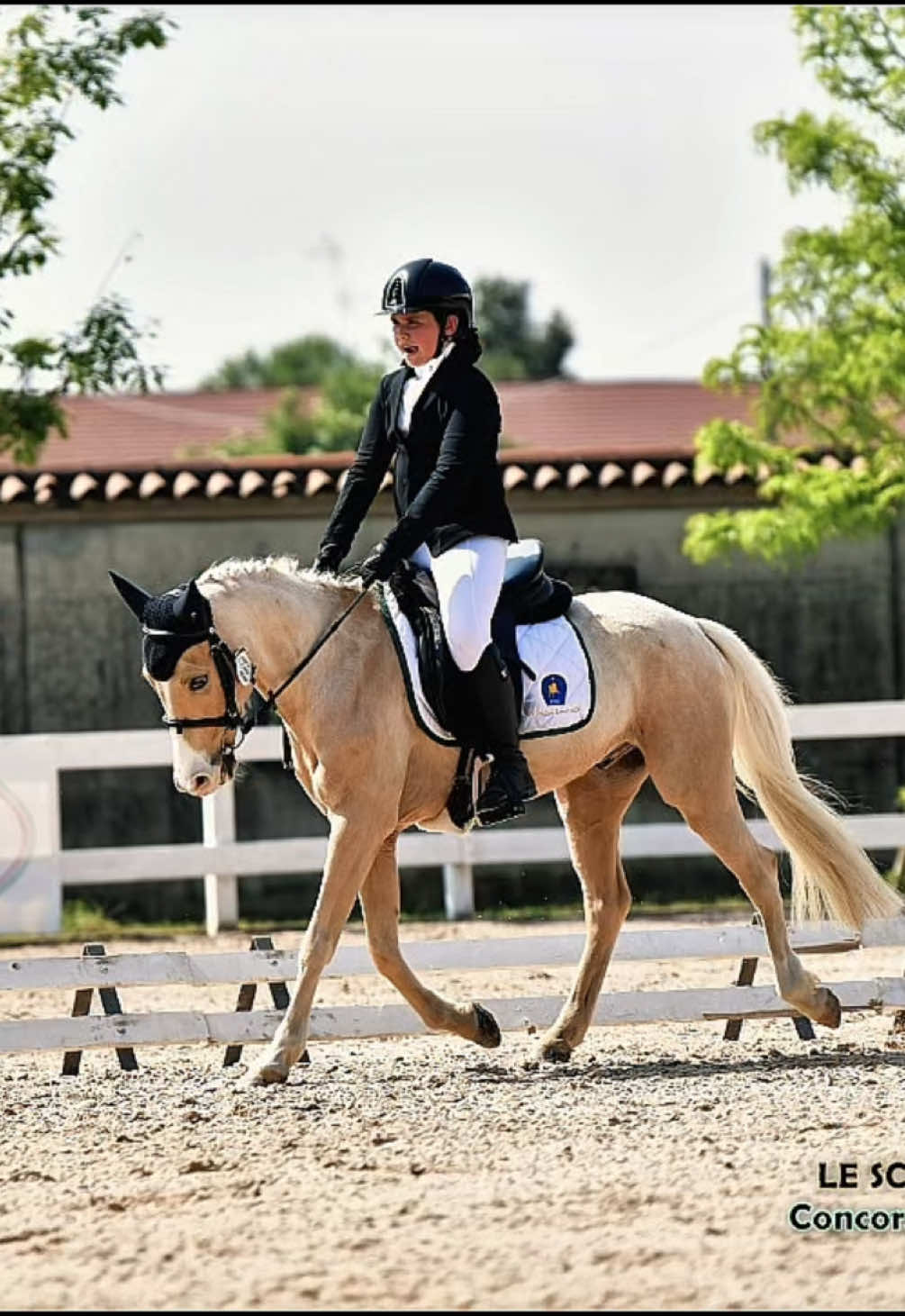 @м&iota;&alpha; 🐴💛