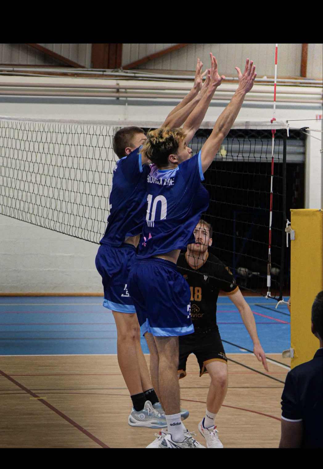 @asbrvolley