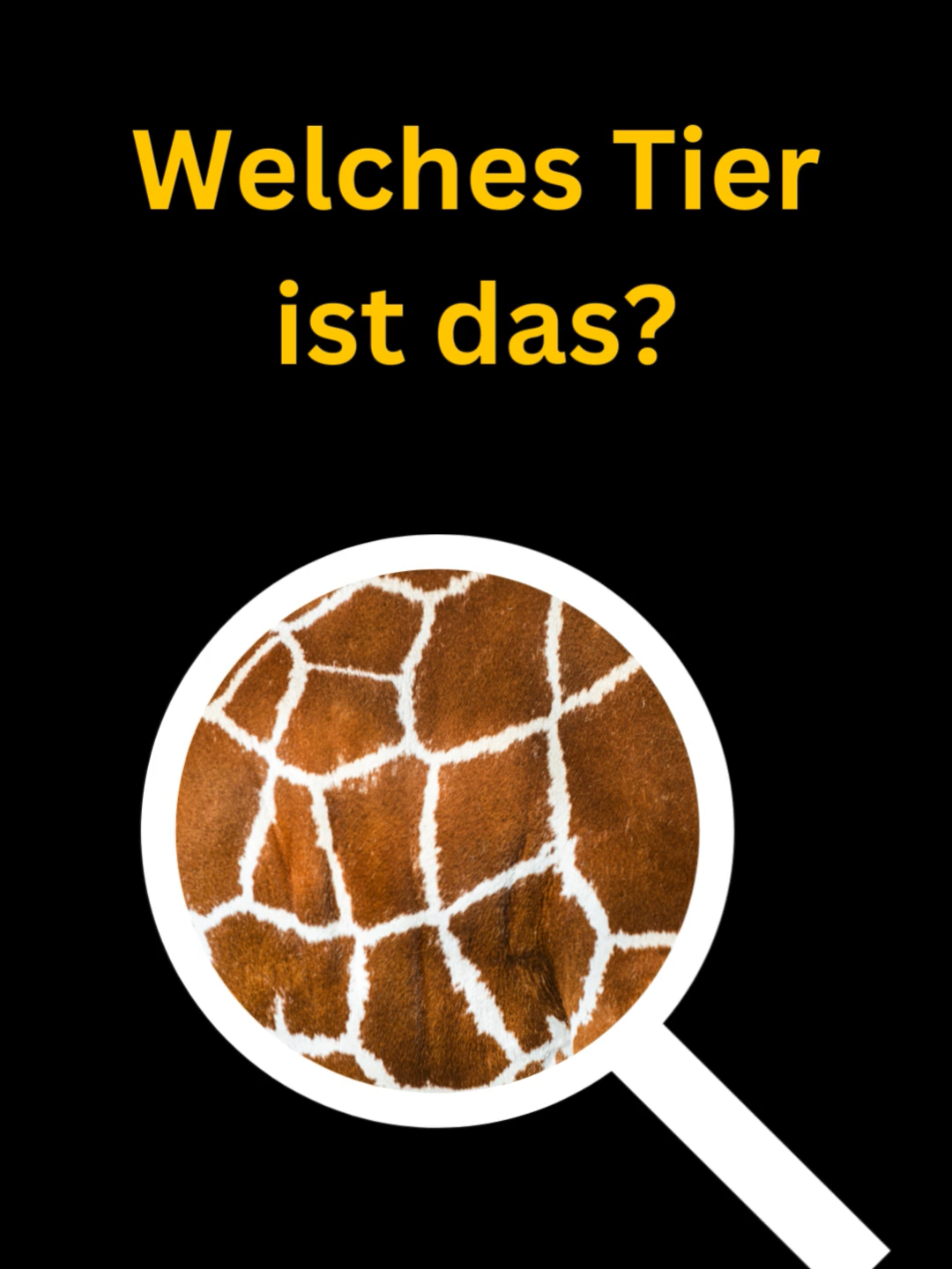 @GeistesBlitz