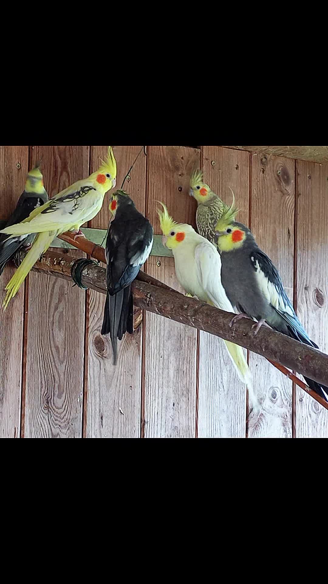 @🦚🆃𝓲𝓮𝓻🅿𝓪𝓻𝓴🆃𝓸𝓴🦚