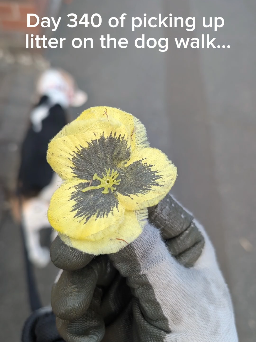 @LitterWalkiesWithRu