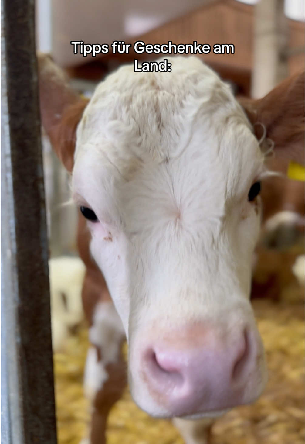 @FarmTok