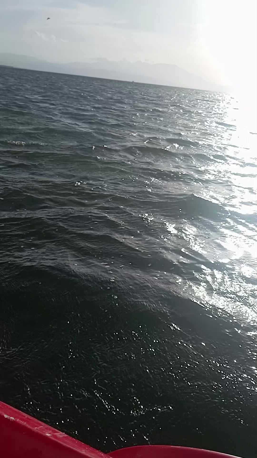 @elifsvml
