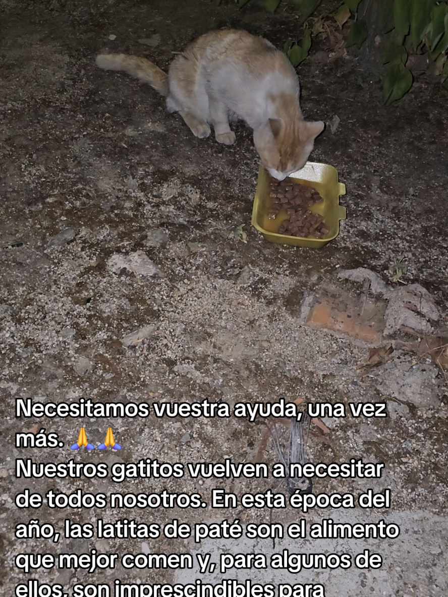 @garritasespaciales