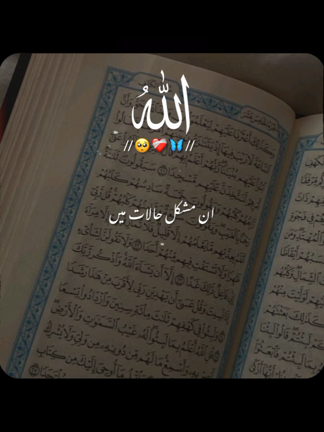 @✨Shahbaz-edit✨