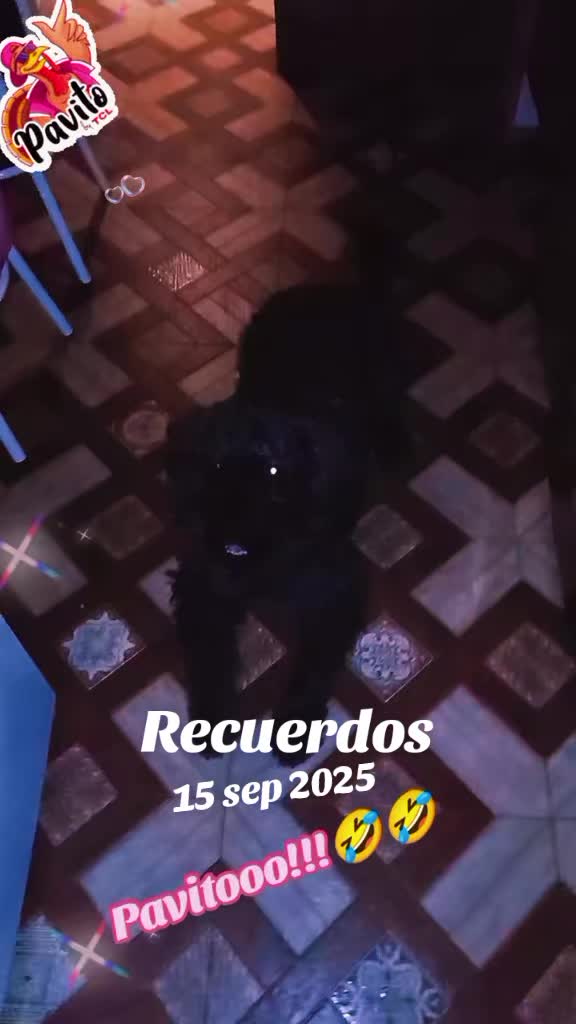 @PatriFuyur