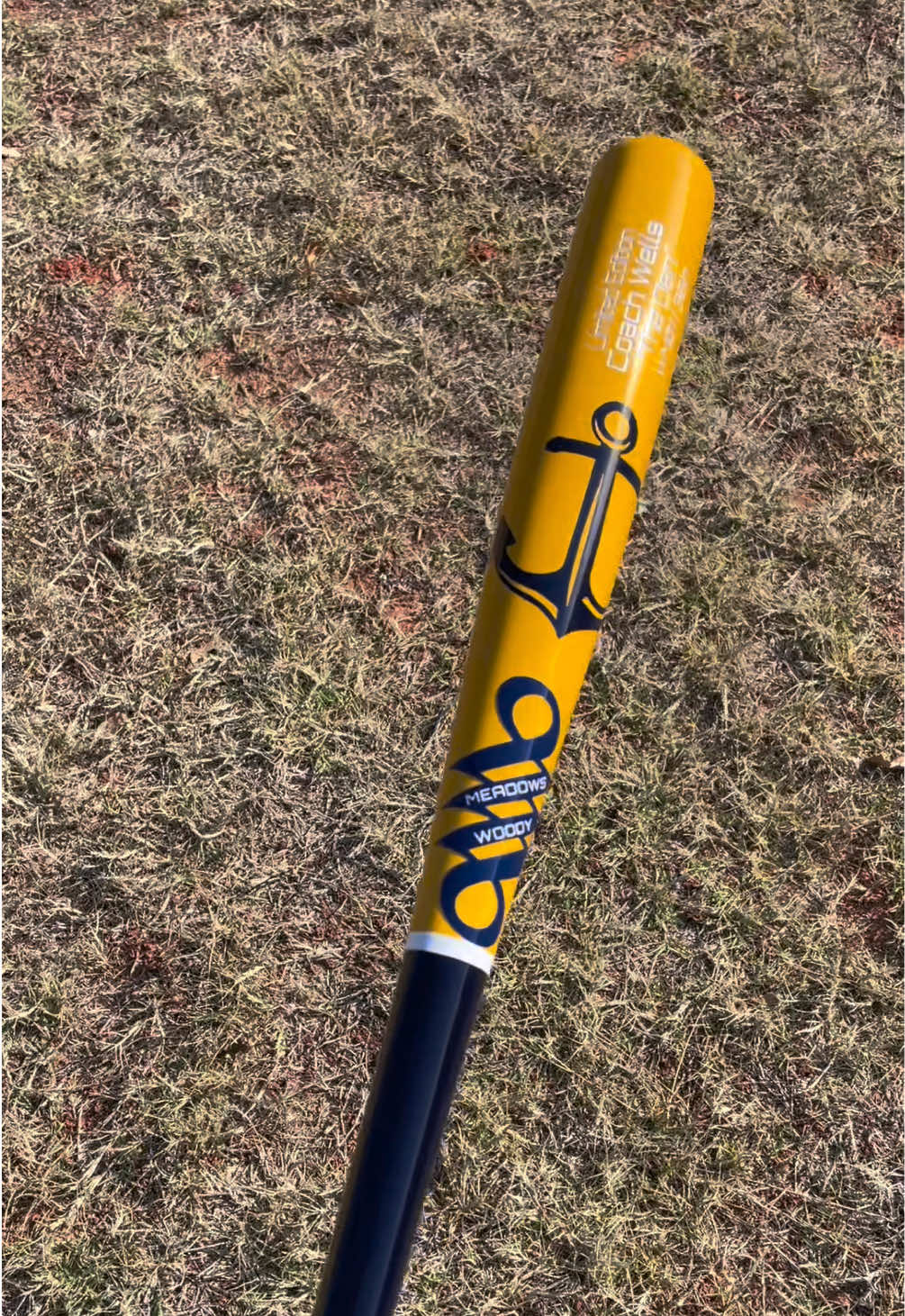 @WoodyMeadowsBats