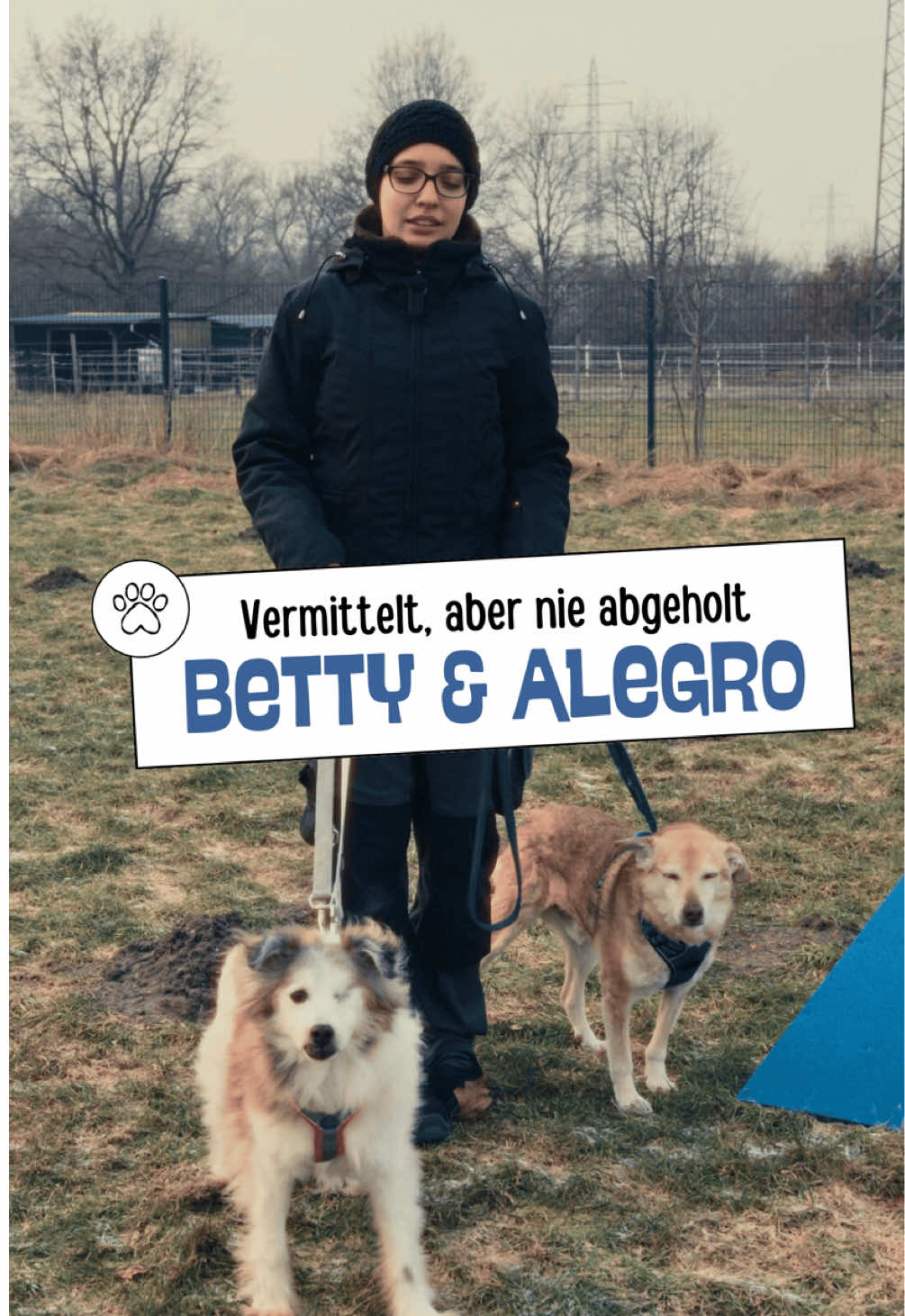 @Tierheim_Bremerhaven