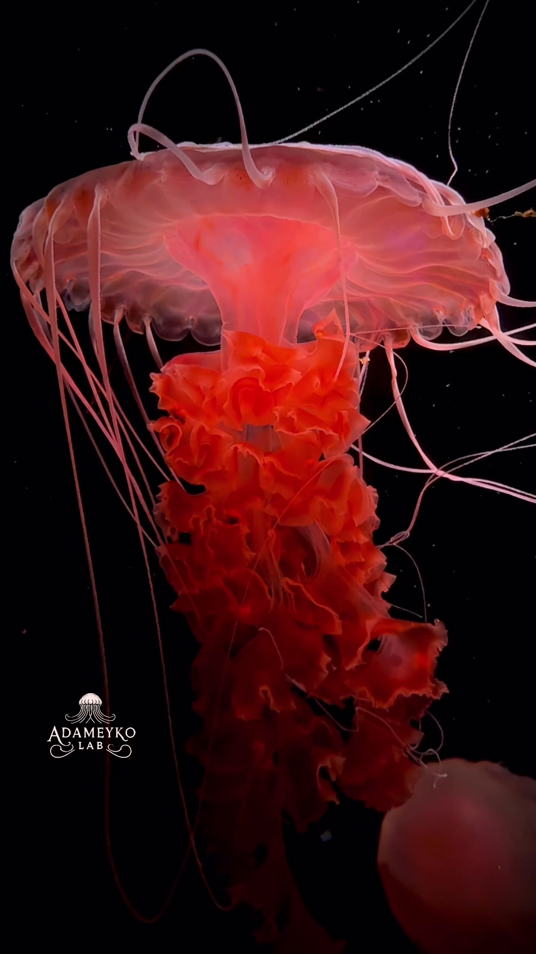 @The_story_of_a_biologist