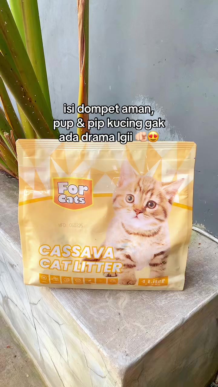 @Cat Project
