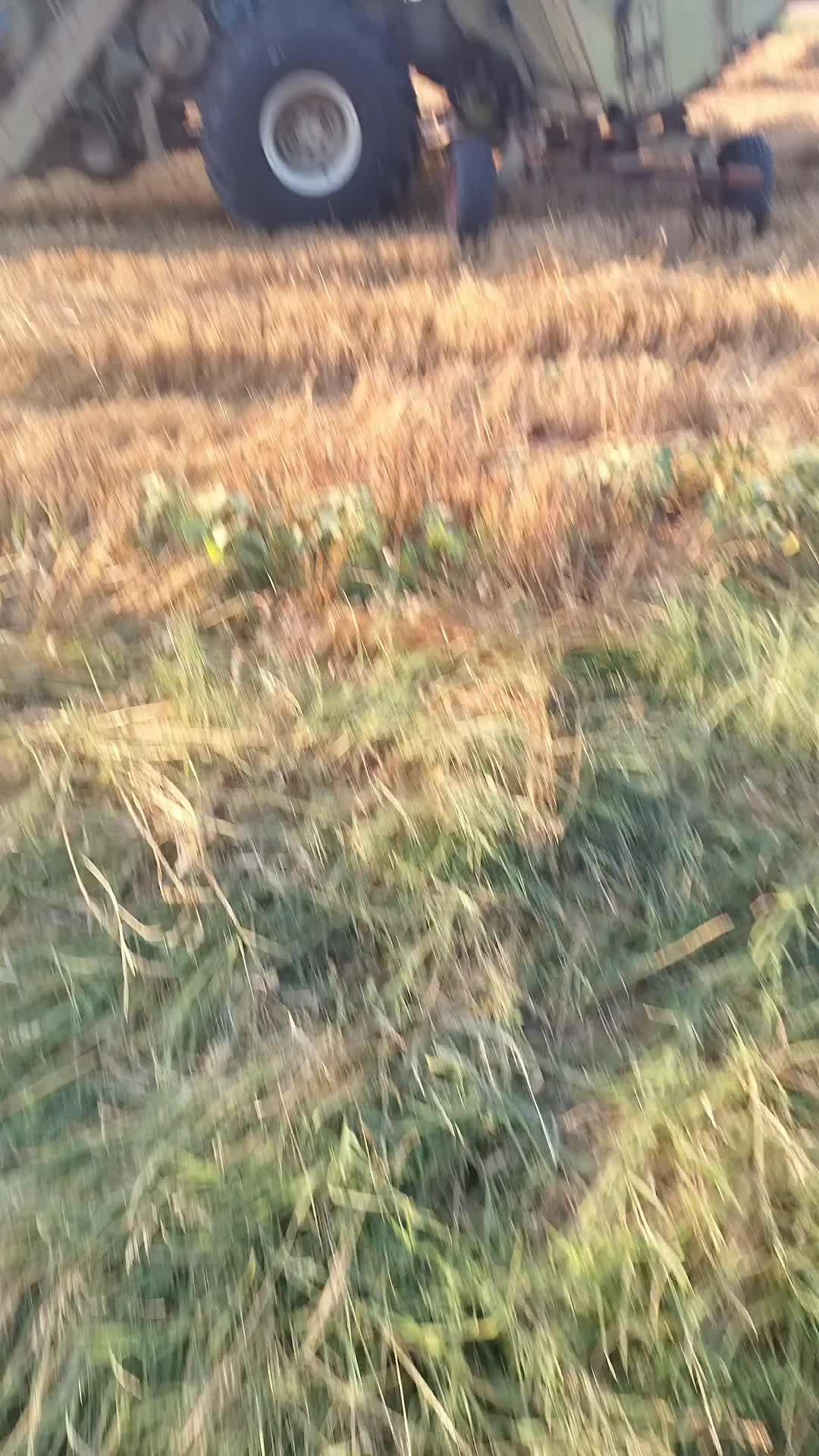 @Т 150