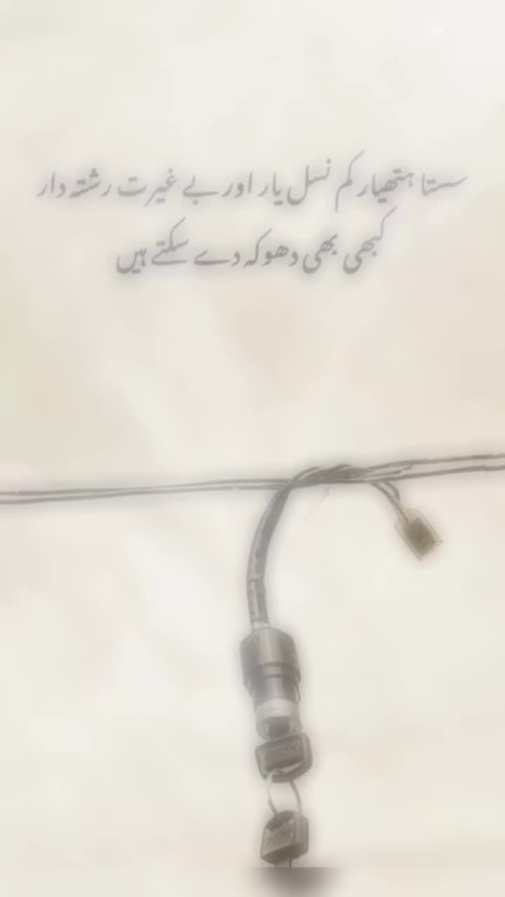 @ᦓꪻꪗꪶꫀ ꫝꪊꪑ