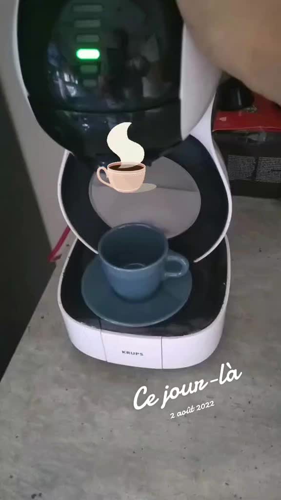 @oranparis3193
