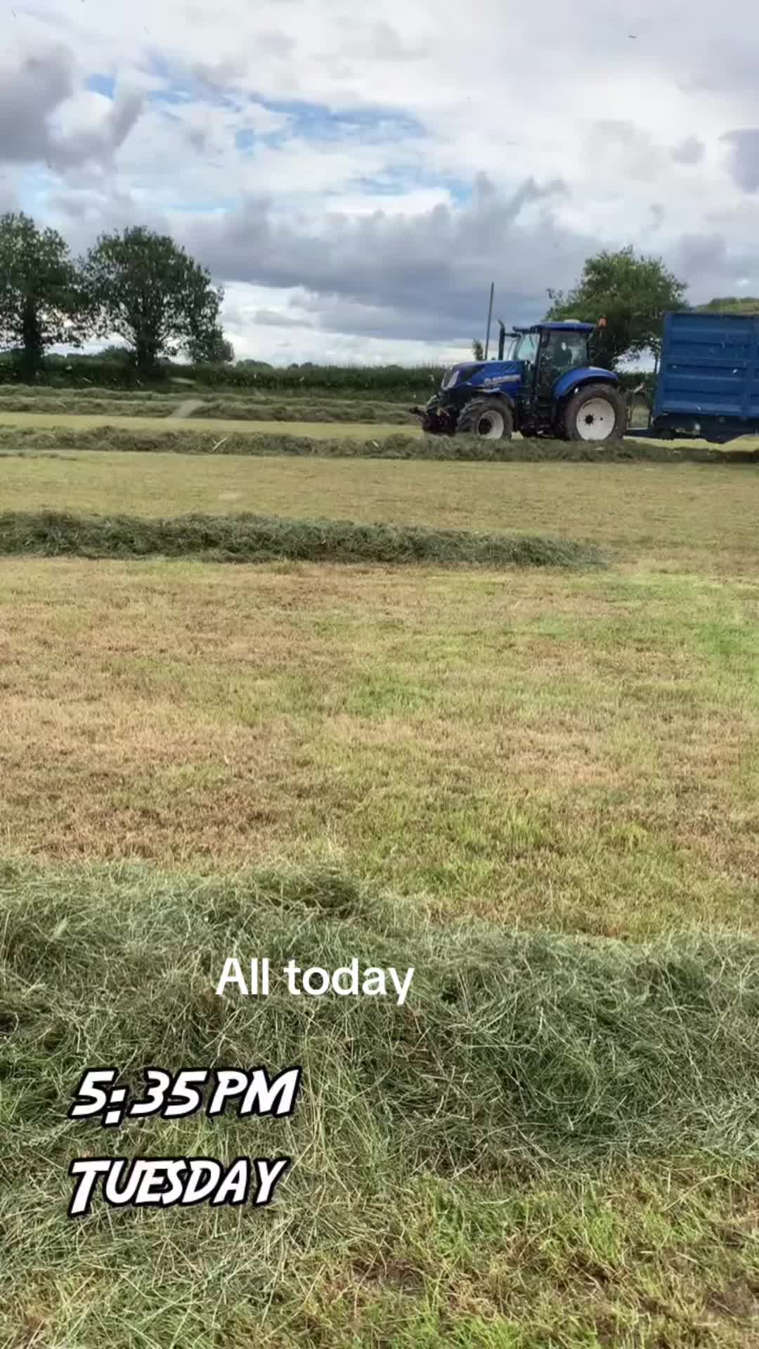 @Farmer Adam