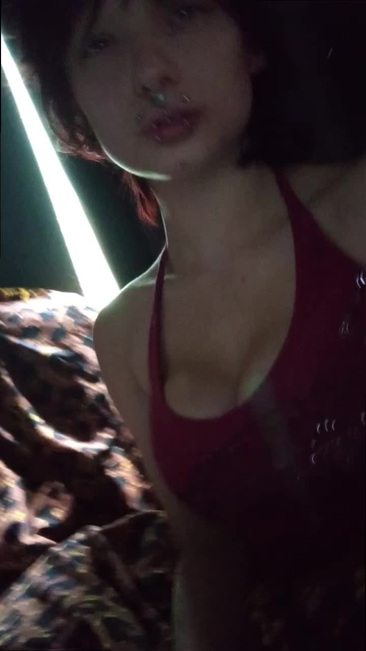 @xo.blxd.stxin.ox