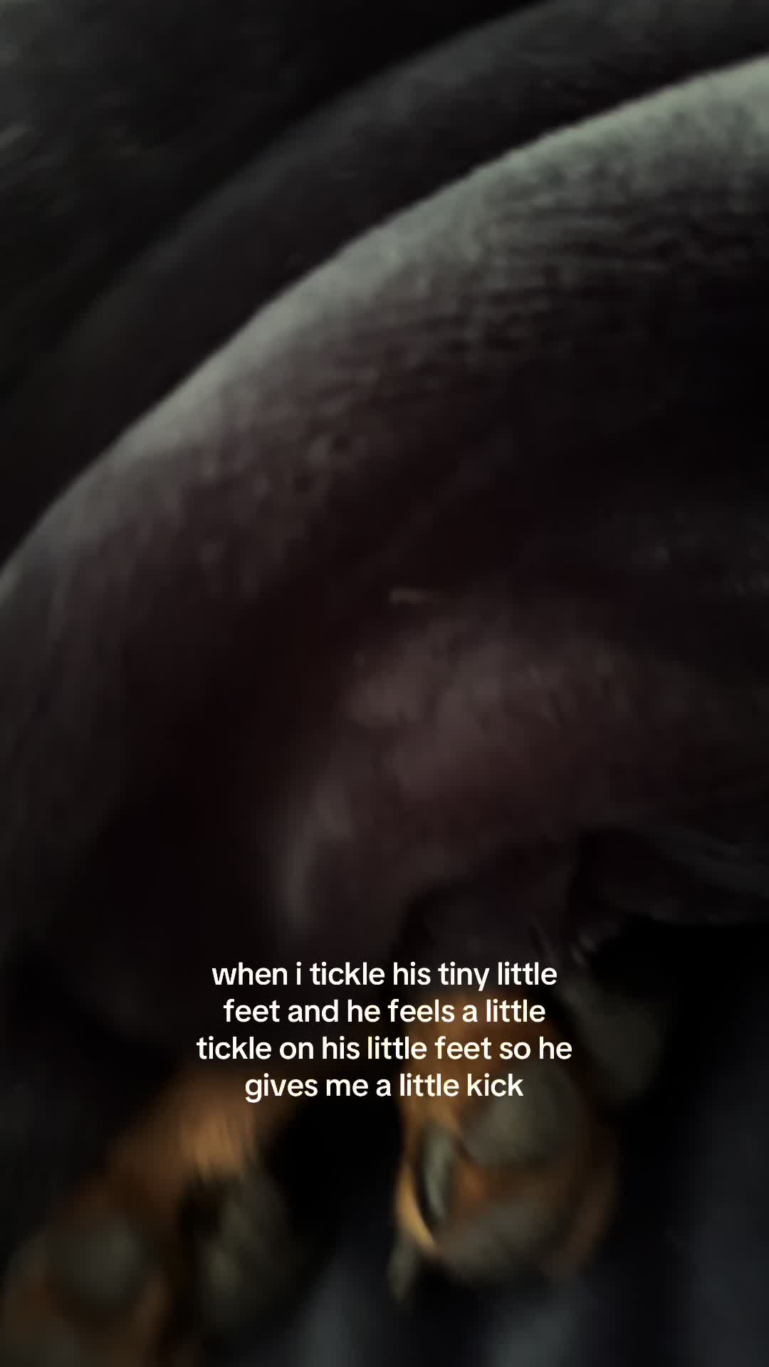 @Palegirwithbob