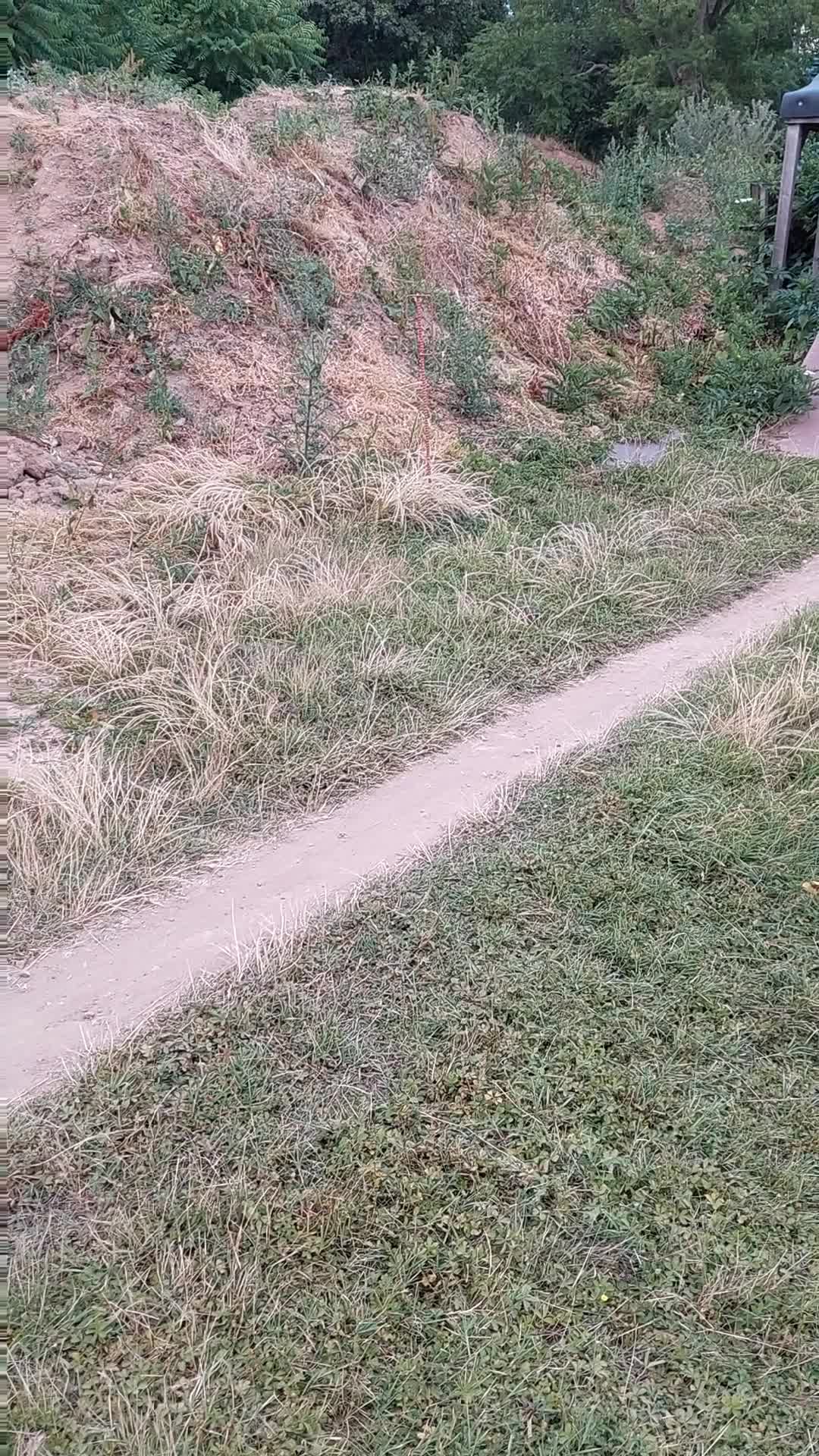 @Bene. Mtb