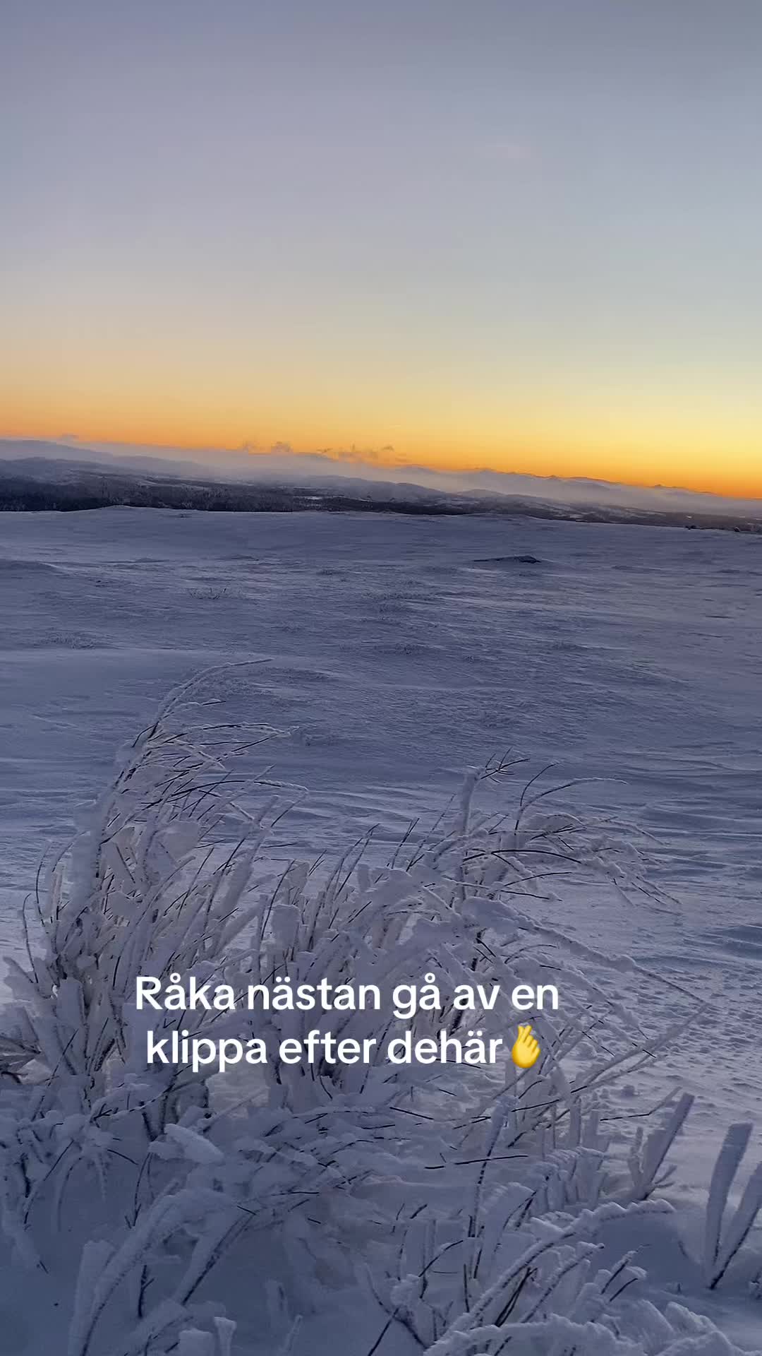 @celina.engman