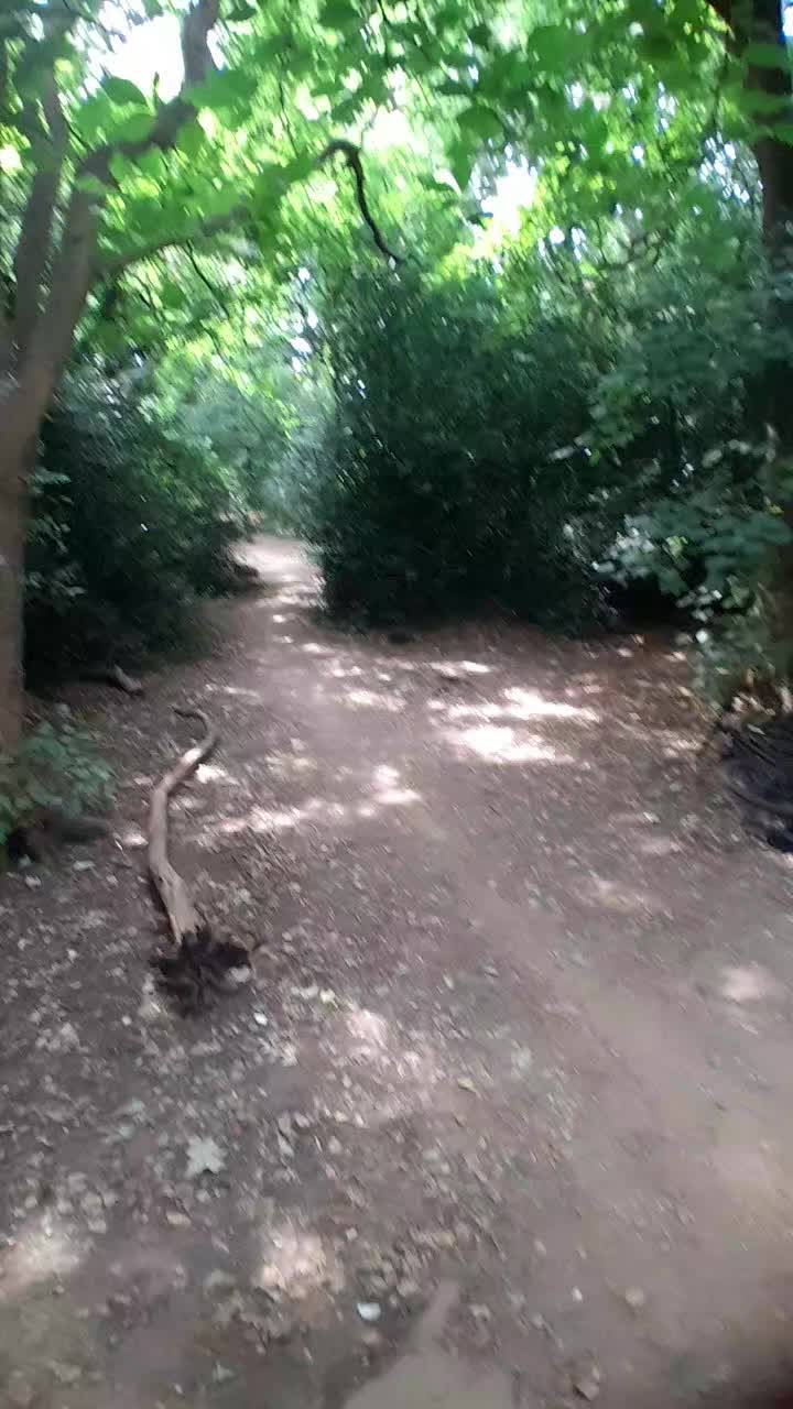 @🇬🇧Milo🤟