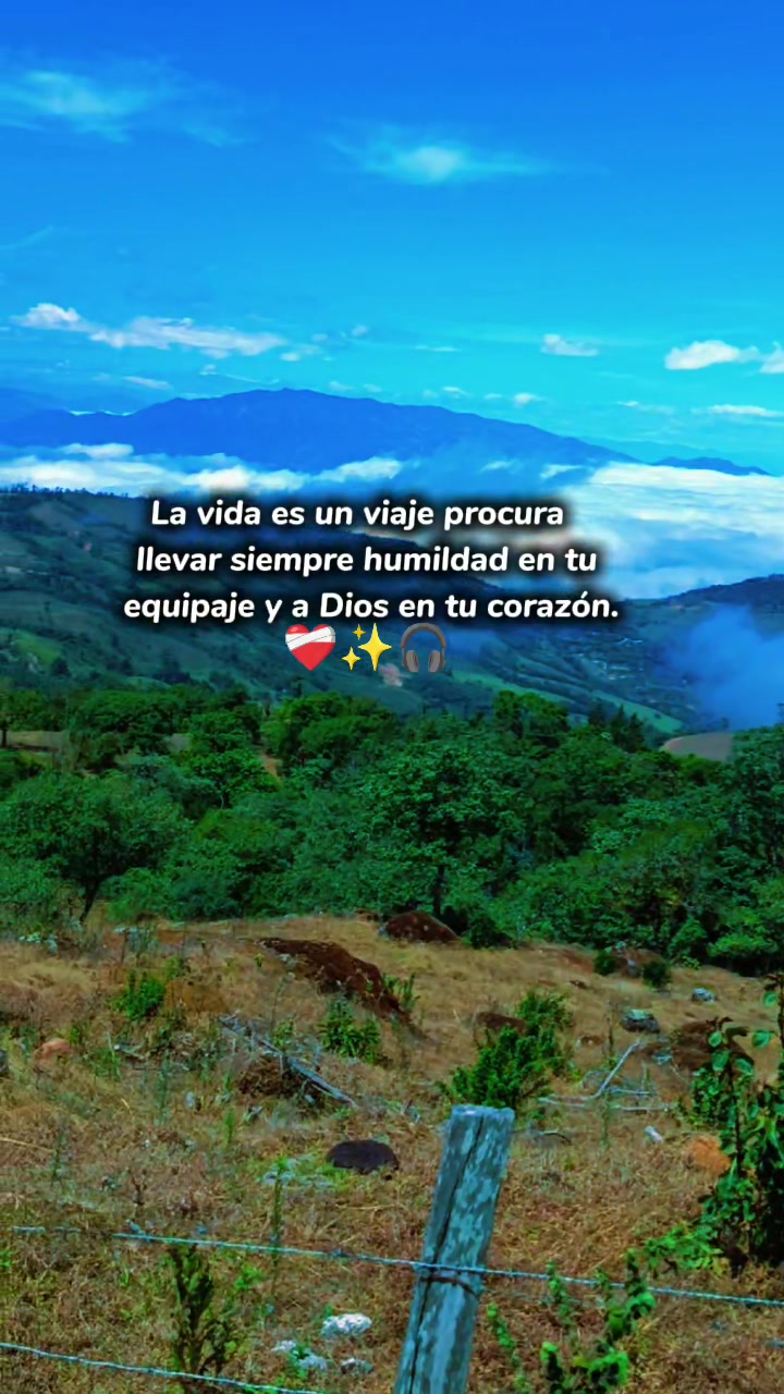 @Carlos Alfredo Rogel
