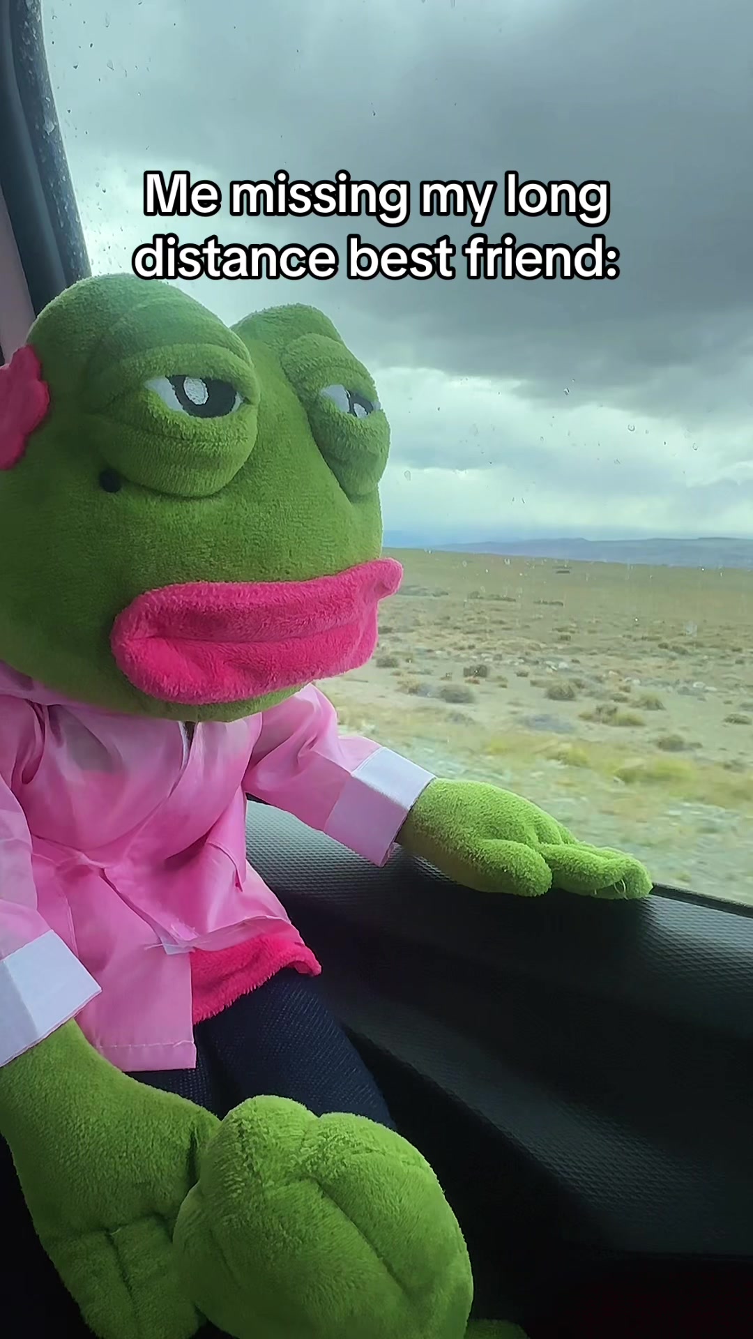 @relatablepepe