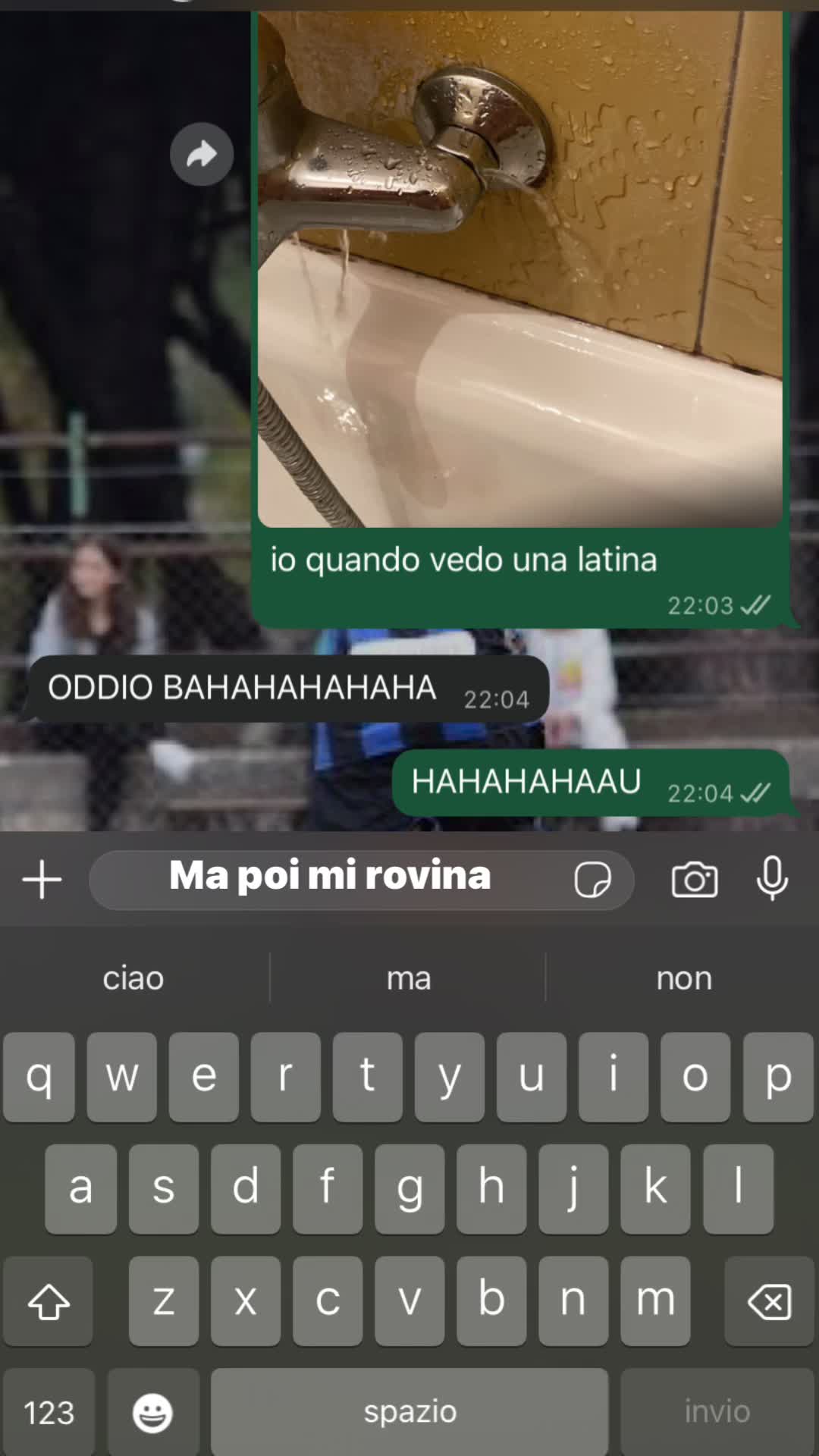 @ginevra