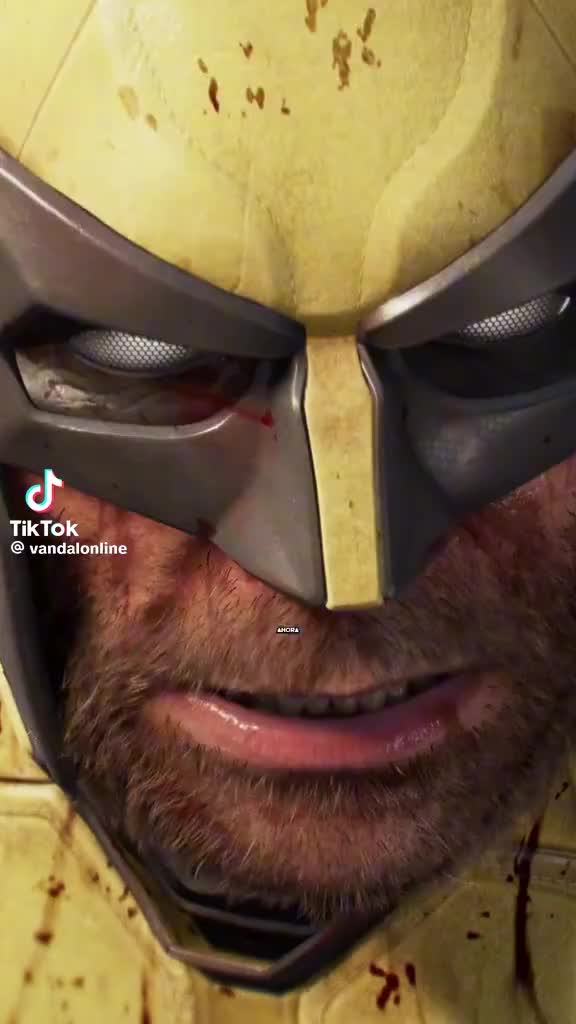 @Rexgamer77