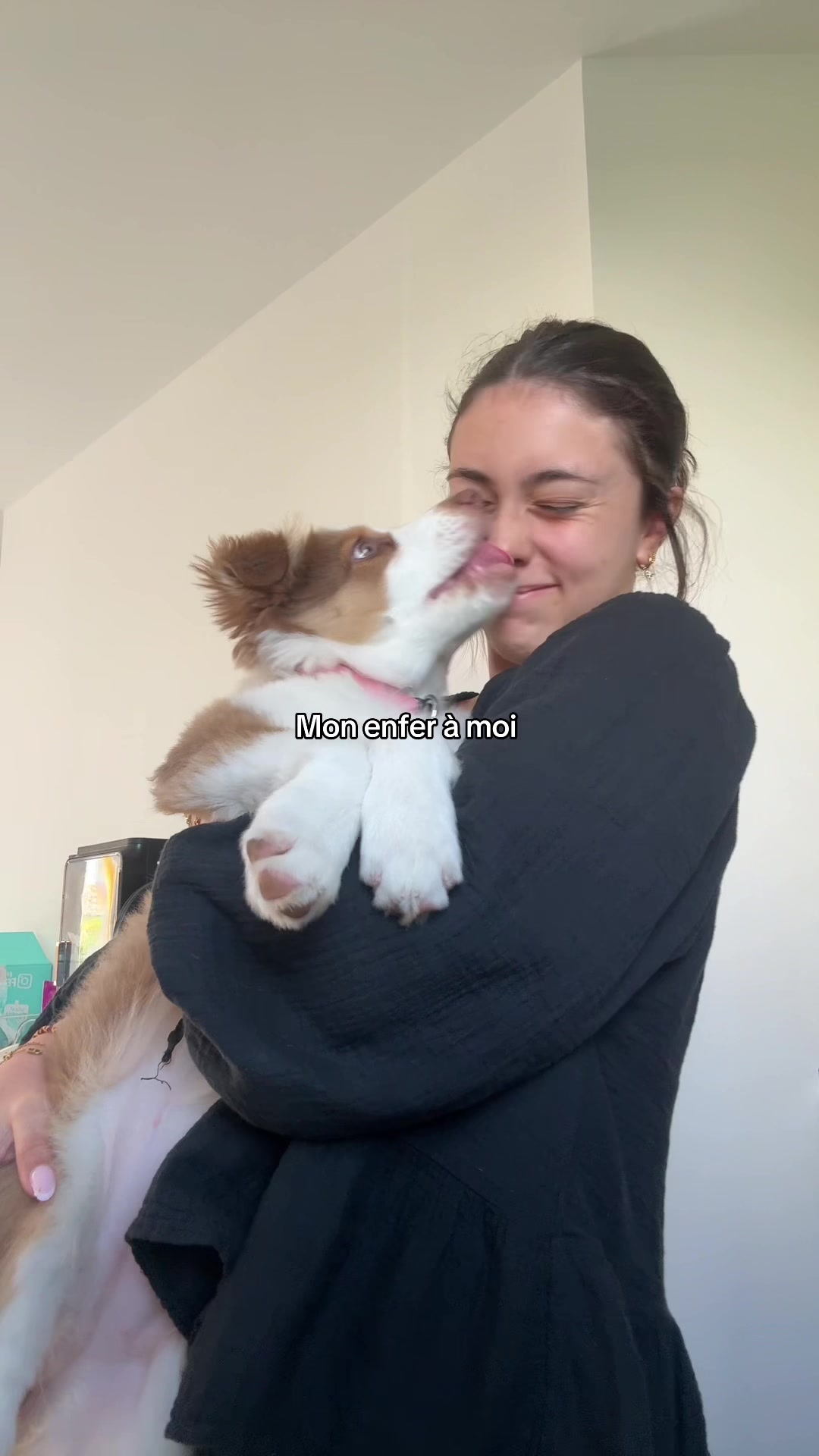 @Fantanyl 🧡🤎